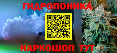 молекула духа Лесосибирск
